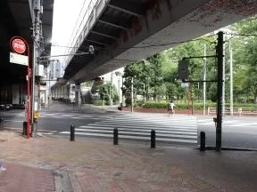 高架下横断歩道をわたります