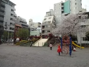 網代公園