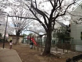 本村公園