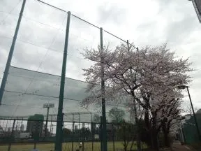 麻布運動場