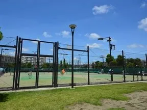 葛飾にいじゅくみらい公園テニスコート
