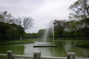 代々木公園