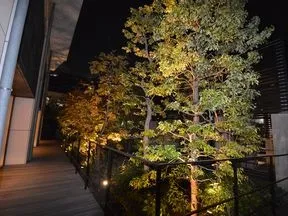 夜のフォレストデッキ