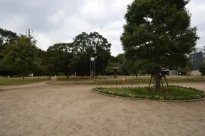 白台どんぐり児童遊園