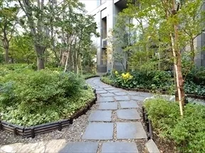 ステップアプローチ