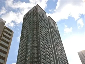 西側からの眺め