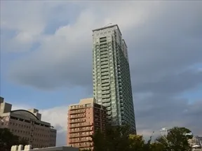 南側からの眺め