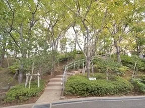 こもれびの丘