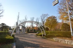 若葉東公園