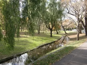 北海道大学