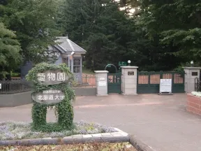 北海道大北方生物圏フィールド科学センター植物園