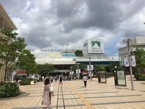 東急百貨店に突き当たる横断歩道を渡り<br>ます