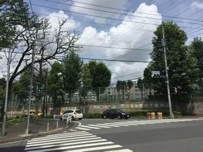 「美しが丘東小学校前」の信号を左折し<br>直進します