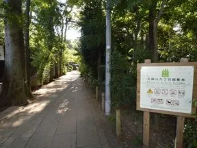 北烏山九丁目屋敷林