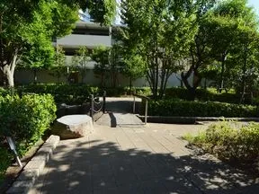 フォレストブルック