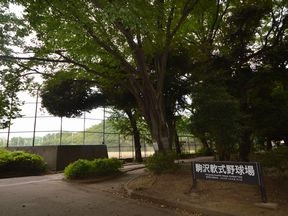 駒沢軟式野球場（駒沢ｵﾘﾝﾋﾟｯｸ公園）