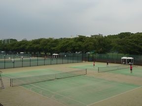 テニスコート（駒沢ｵﾘﾝﾋﾟｯｸ公園）