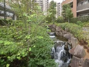 滝
