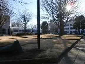 多摩美術大学