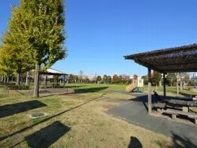 お台場レインボー公園