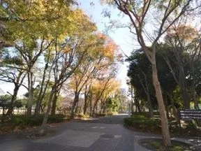 有明テニスの森