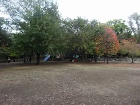 三宿の森緑地