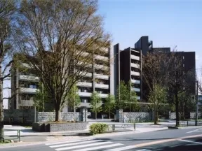 淡島通りからの外観