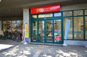 大丸ピーコック　三軒茶屋の杜店