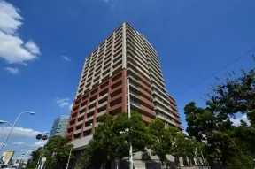 南西側からみた全体像