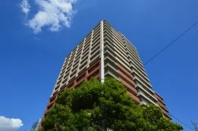 南西側からみた全体像