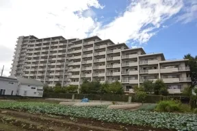 東側　畑が広がるのどかな雰囲気