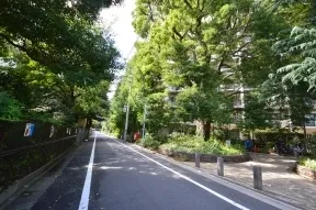 南側　緑が美しい前面道路