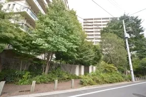 南側 陽だまりの小路