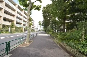 北側 プラタナス並木