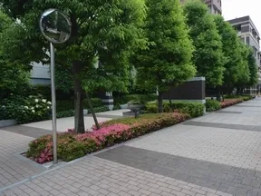 カーアプローチ