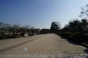 馬事公苑