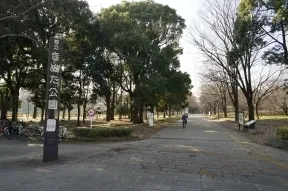 都立砧公園