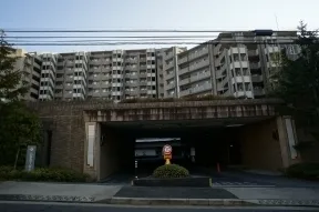 北側 砧公園通りより
