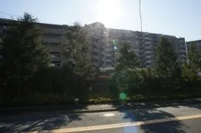 北側 砧公園通りより