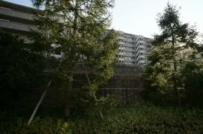 北側 砧公園通りより