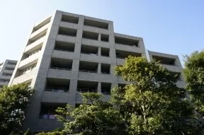 東より