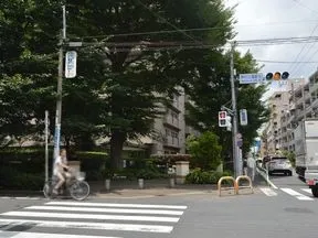 芦花公園駅北交差点を渡り左折