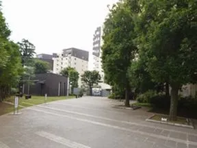 ペイブメントゲート入口