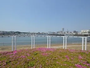 船橋港親水公園