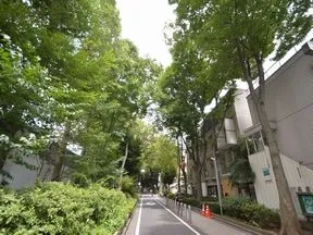 氷川参道