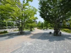 シンフォニアフォレスト