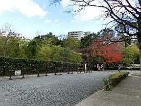 法王道