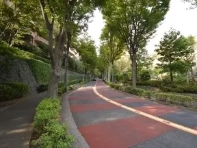 道なりに進むとそこは、緑あふれる広尾<br>ガーデンヒルズのメイン通りです