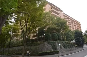 メイン通りから望むサウスヒルＤ棟