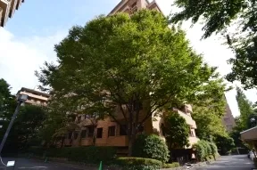 北側から望むサウスヒルＦ棟